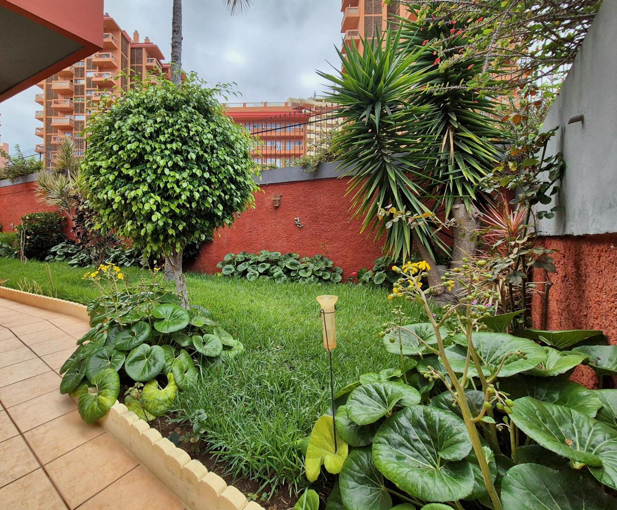 Canaima Apartments Puerto de la Cruz (Tenerife) Exterior foto